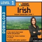 Learn Irish