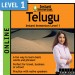 Level 1 - Telugu - Online Version