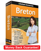 Instant Immersion's Breton course is the best way to learn Breton