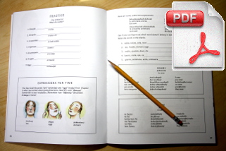Instant Immersion's Workbooks are the best way to learn a new language